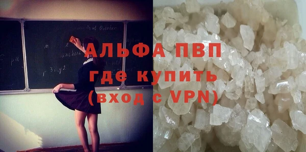 молекула духа Алексин