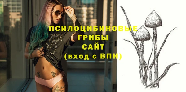 молекула духа Алексин
