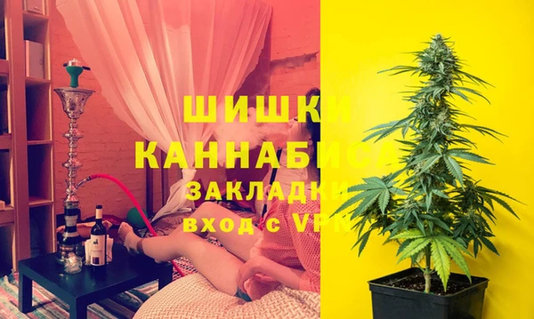 молекула духа Алексин