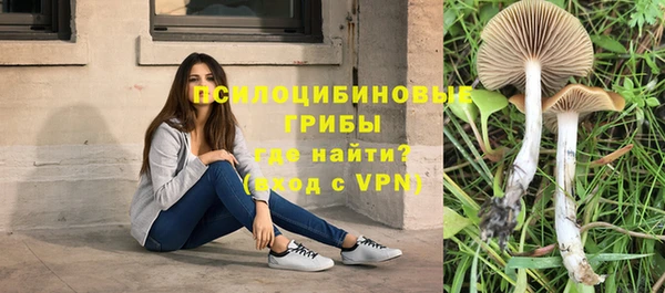 молекула духа Алексин