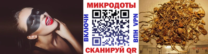 Псилоцибиновые грибы Psilocybe  закладка  Бабушкин 